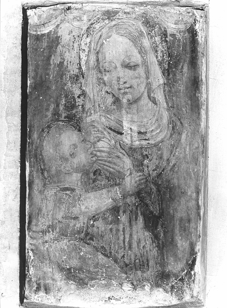 Madonna del Latte (dipinto, opera isolata) - ambito lombardo (fine/inizio secc. XV/ XVI)