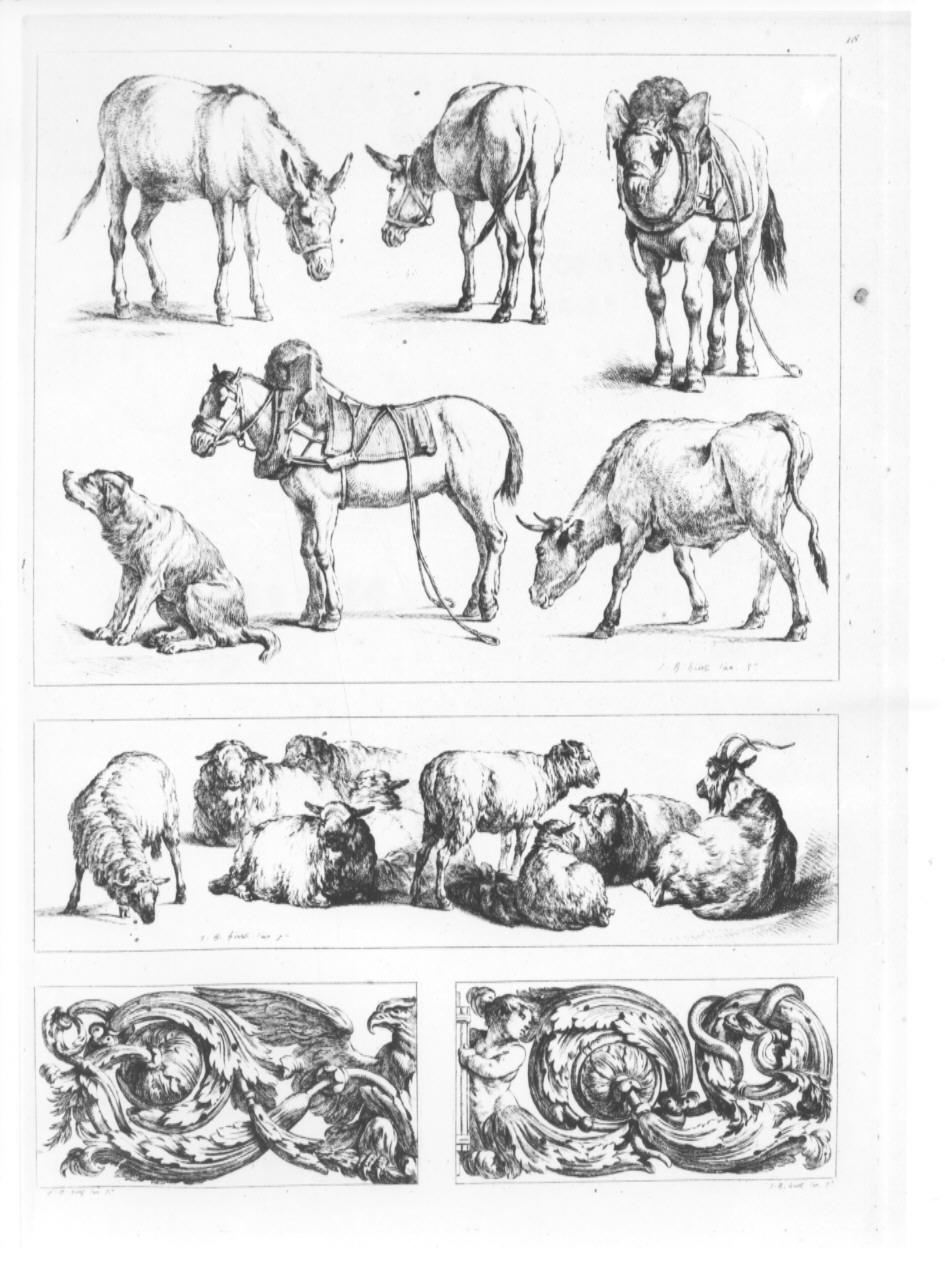 animali ed elementi decorativi (stampa, serie) di Huet Jean Baptiste (sec. XIX)