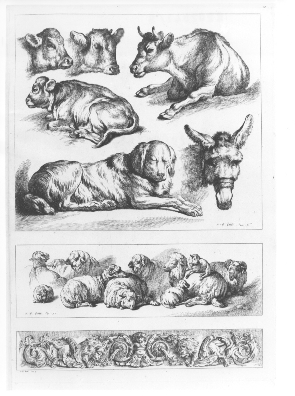 animali ed elemento decorativo (stampa, serie) di Huet Jean Baptiste (sec. XIX)
