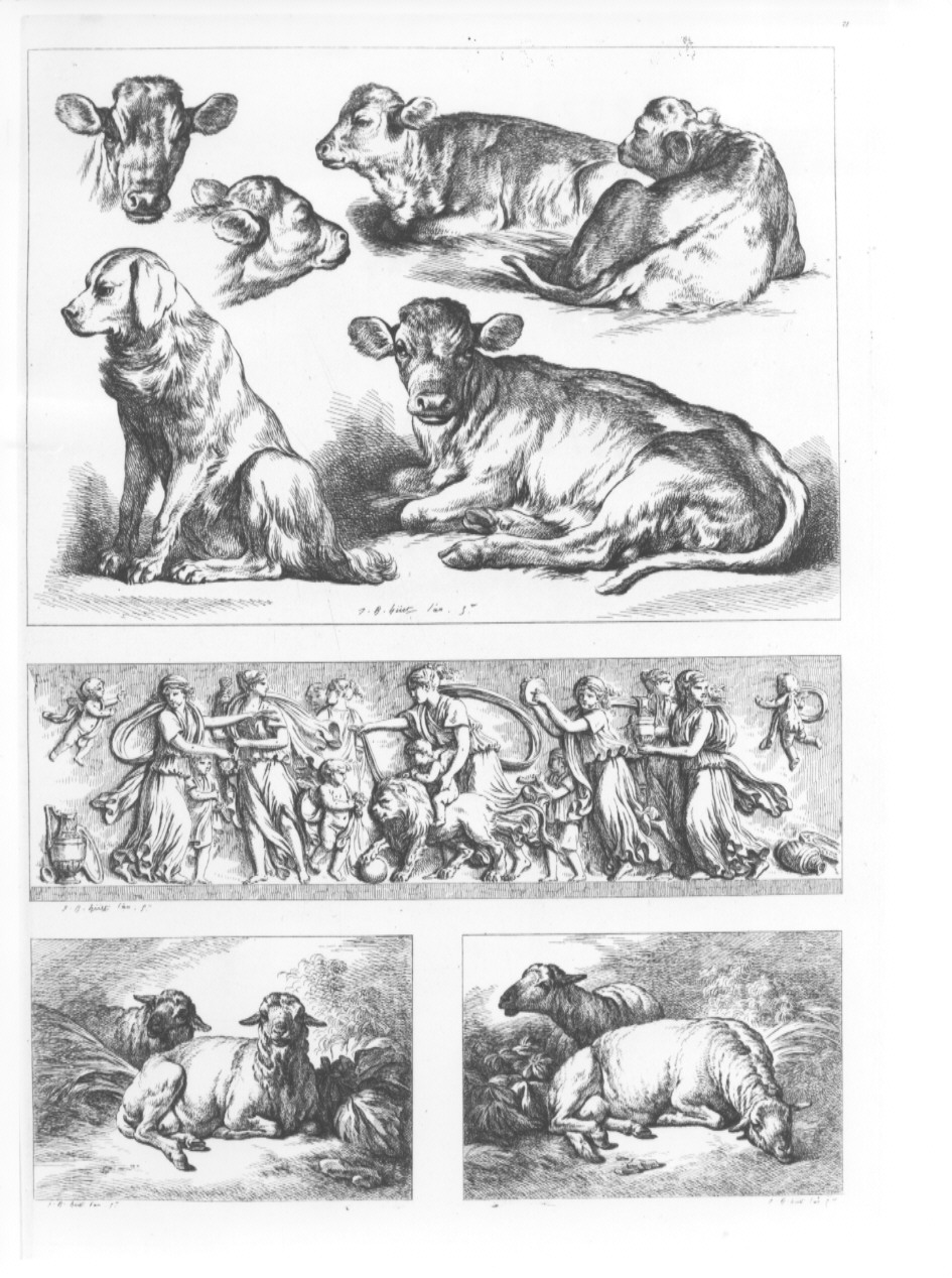 animali e fregio (stampa, serie) di Huet Jean Baptiste (sec. XIX)