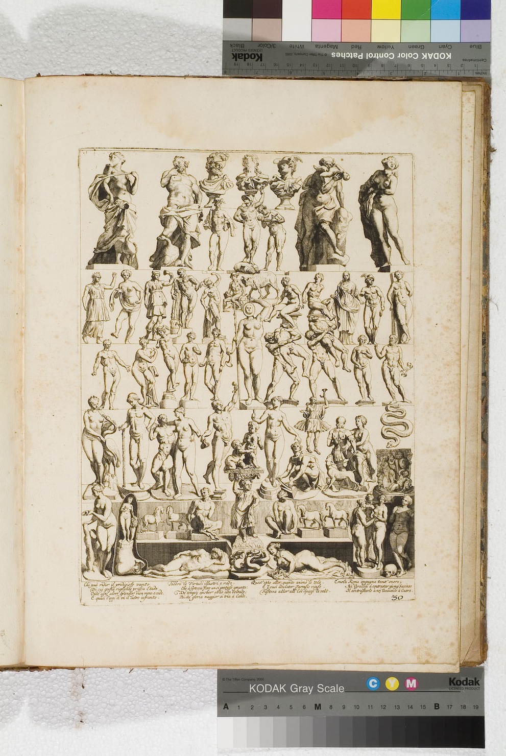 sculture (stampa) di De Stampart Francisco, De Prenner Antonio (sec. XVIII)