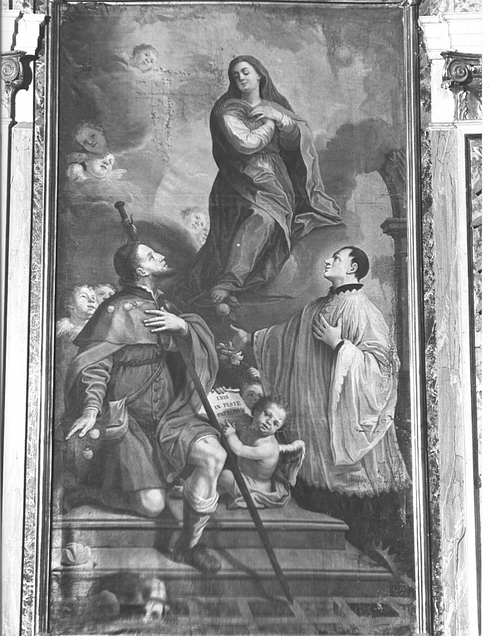 Immacolata Concezione fra San Rocco e San Luigi (pala d'altare, opera isolata) - ambito veneto (sec. XVIII)
