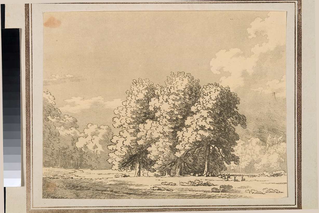 paesaggio con alberi (stampa) di Cozens John Robert (seconda metà sec. XVIII)