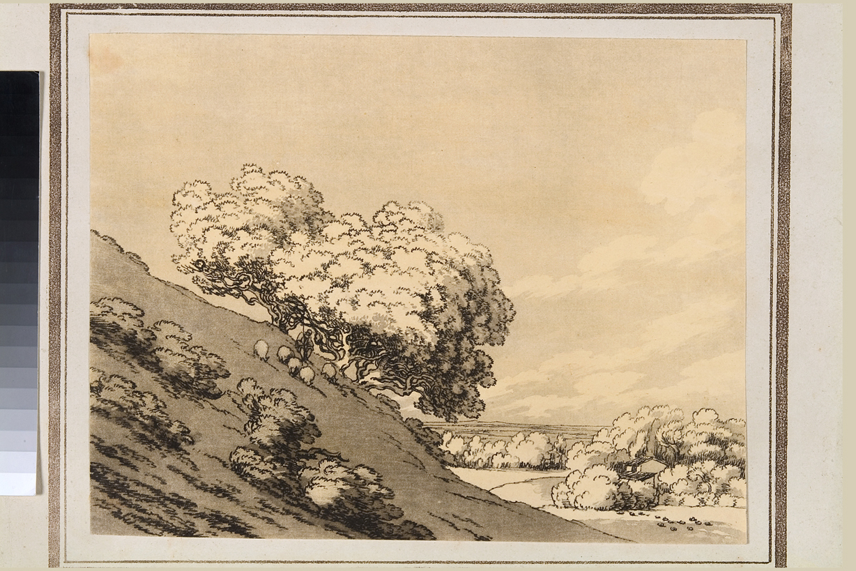paesaggio con alberi (stampa) di Cozens John Robert (seconda metà sec. XVIII)