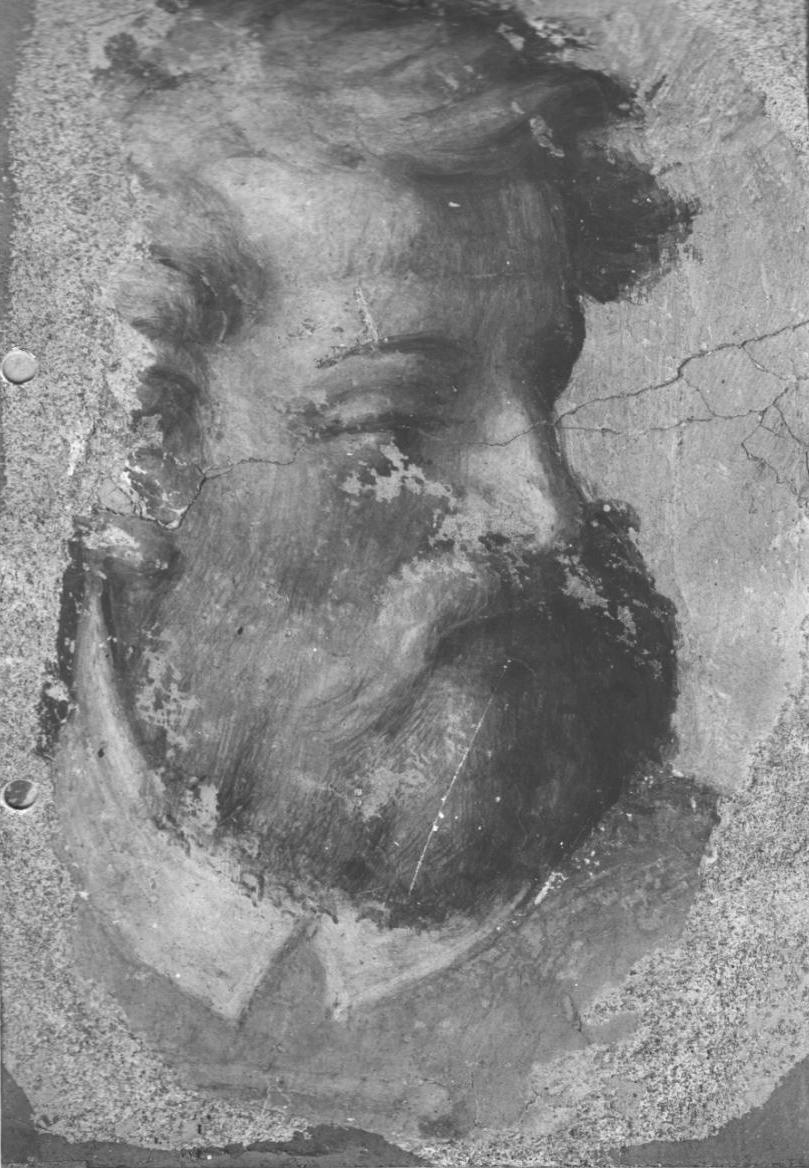 Testa di vecchio, testa di uomo (dipinto, ciclo) di Campi Bernardino (sec. XVI)