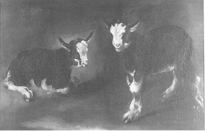 Due capretti, due capretti (dipinto) di Londonio Francesco (sec. XVIII)