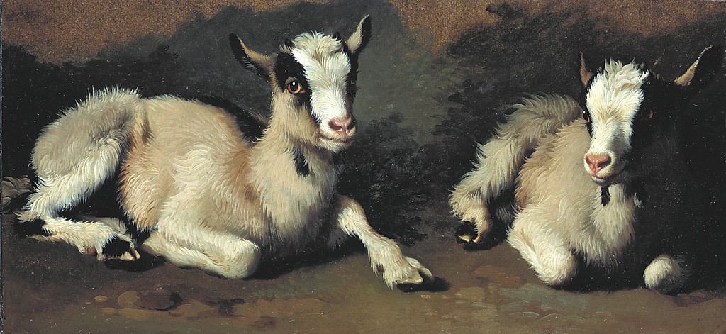 Due caprette accucciate, due caprette accucciate (dipinto, serie) di Londonio Francesco (sec. XVIII)
