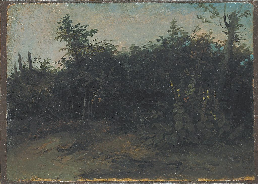 Alberi e cespugli, alberi e cespugli (dipinto, serie) di Londonio Francesco (sec. XVIII)