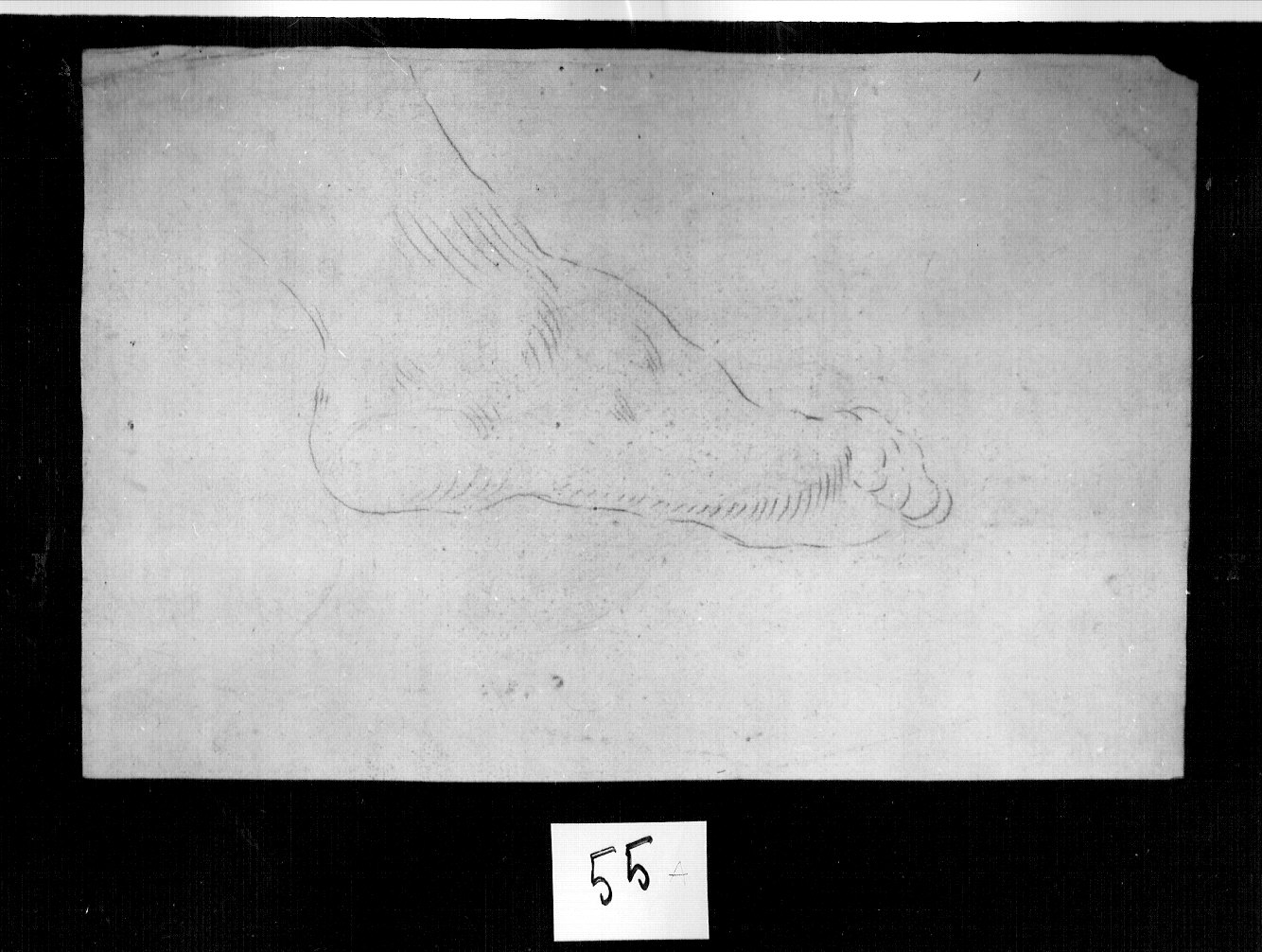 piede destro (disegno, opera isolata) di Ligari Pietro (attribuito) (prima metà sec. XVIII)