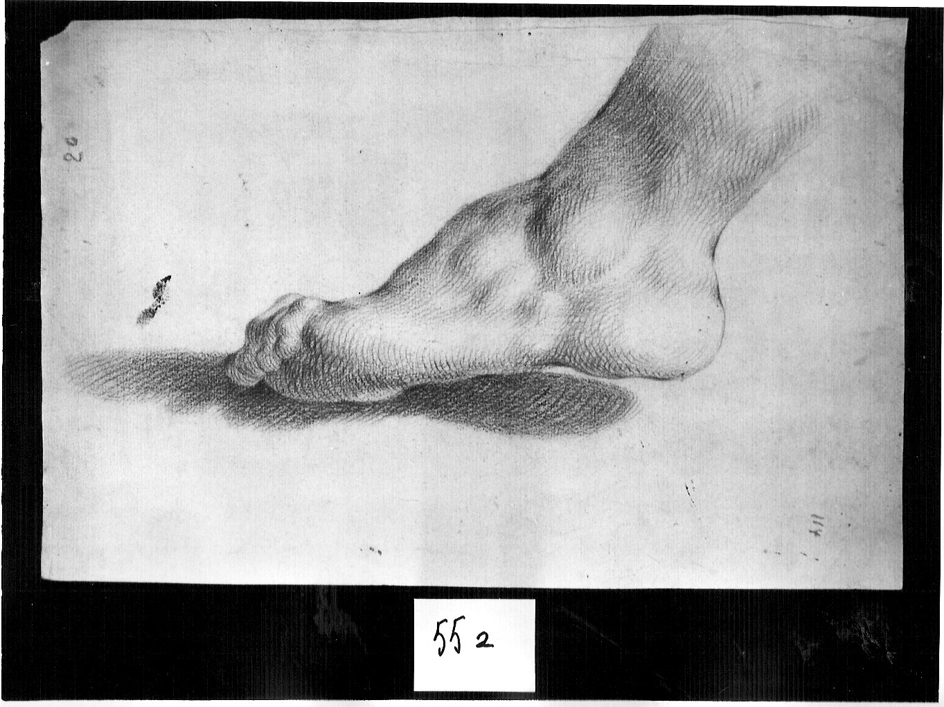 piede sinistro (disegno, opera isolata) di Ligari Pietro (attribuito) (prima metà sec. XVIII)