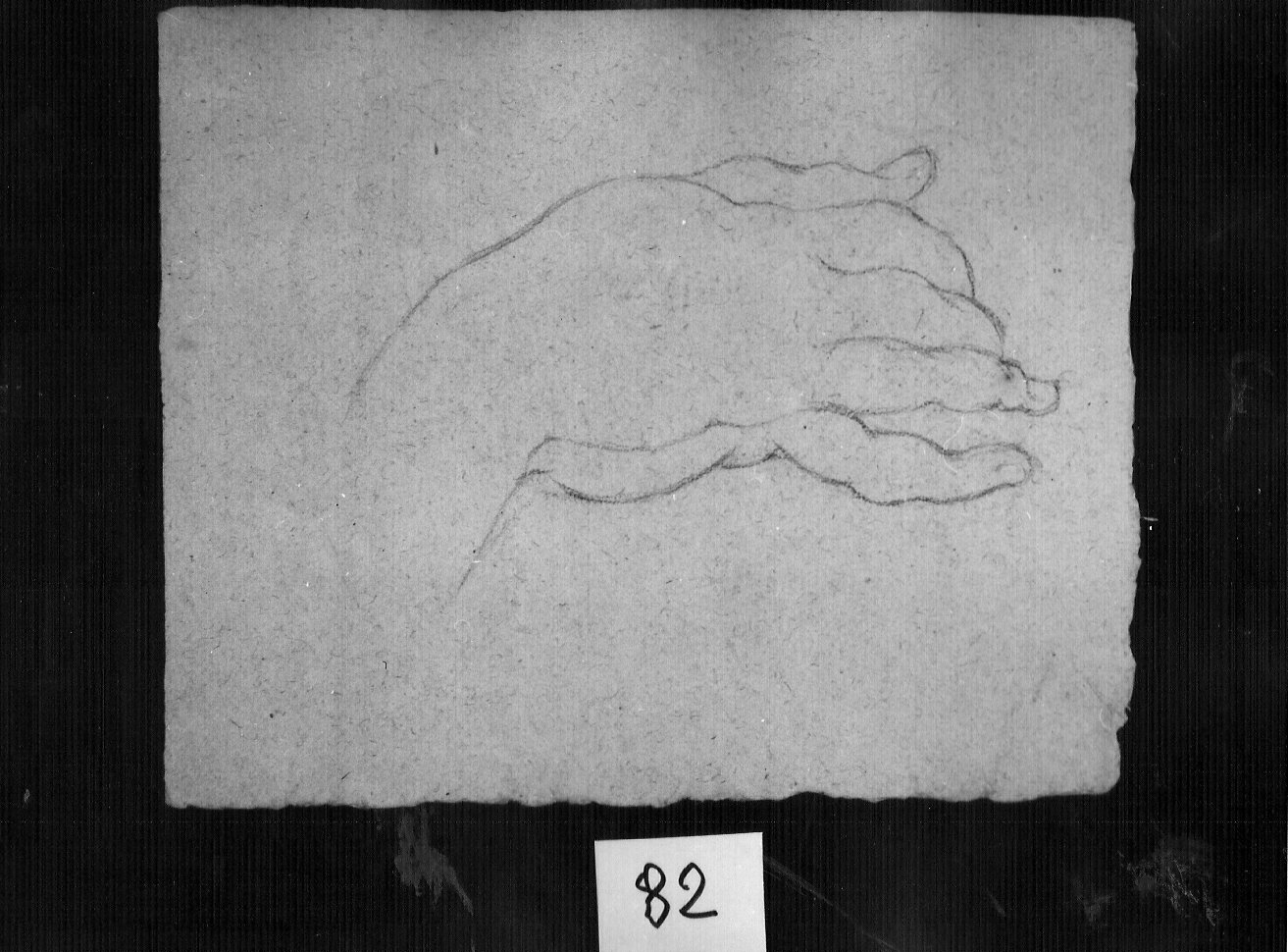 contorno di mano femminile (disegno, opera isolata) - ambito lombardo (sec. XVIII)