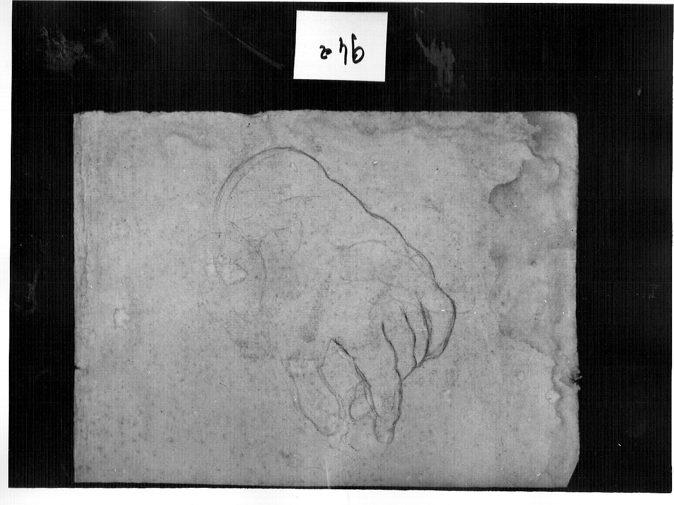 contorno di mano maschile (disegno, opera isolata) di Ligari Cesare (attribuito) (sec. XVIII)