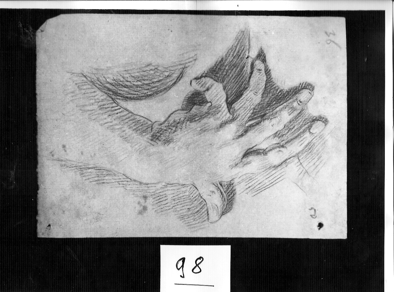 mano maschile (disegno, opera isolata) di Ligari Cesare (attribuito) (sec. XVIII)