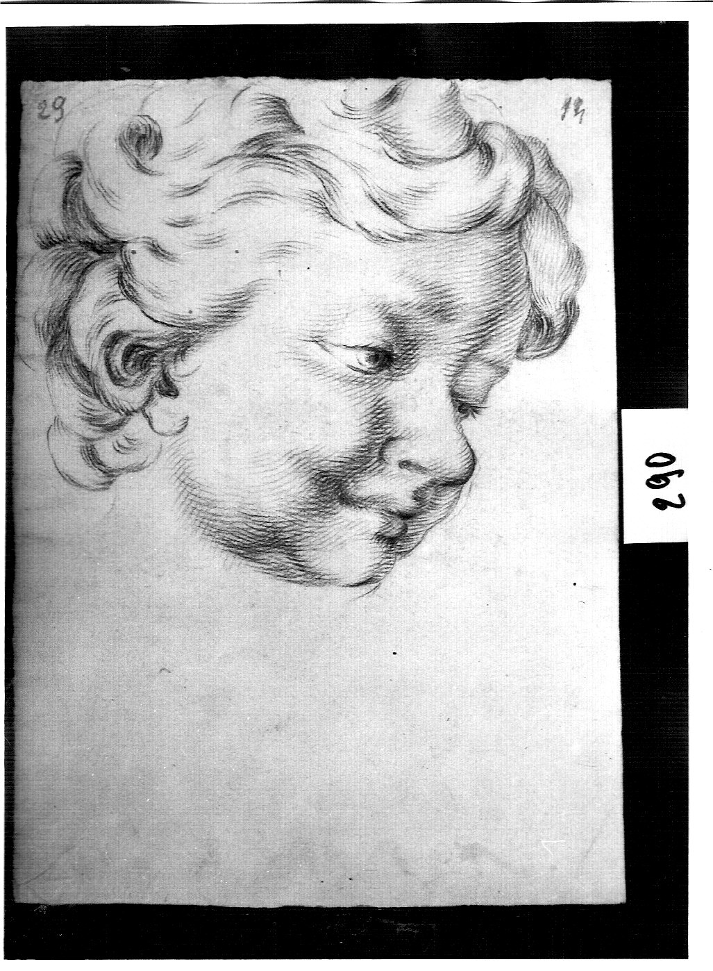 testa di fanciullo sorridente (disegno, opera isolata) di Ligari Cesare (attribuito) (sec. XVIII)