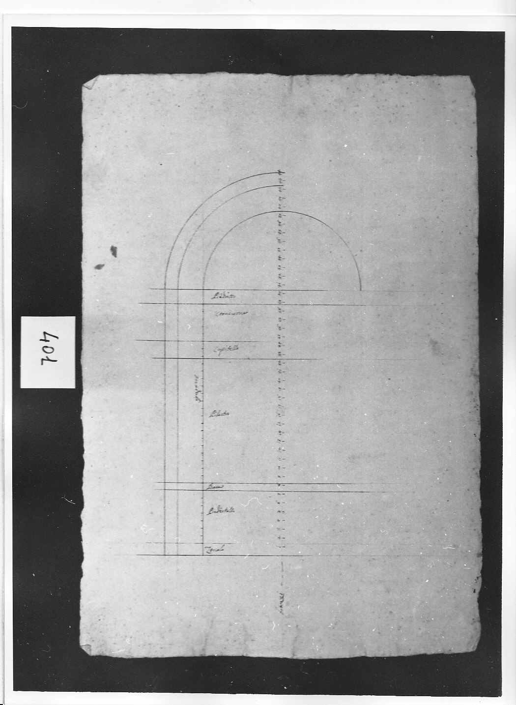 Metà sinistra di arco (disegno architettonico, opera isolata) di Ligari Pietro (attribuito) (secondo quarto sec. XVIII)