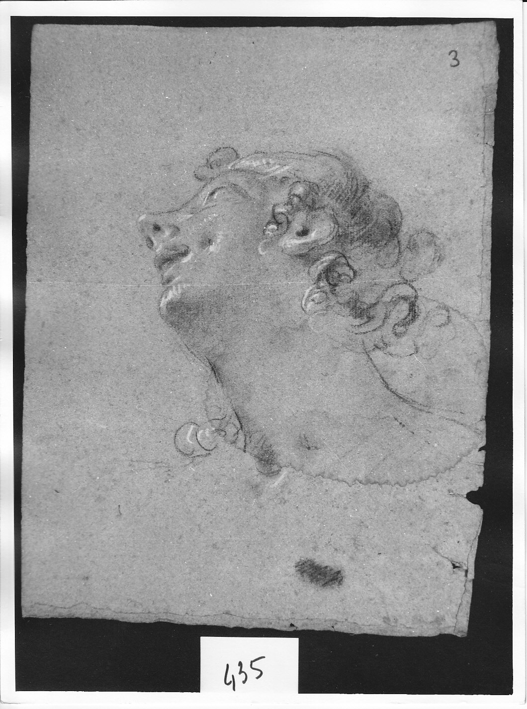 Testa di giovane volta verso l'alto (disegno, opera isolata) di Ligari Cesare (attribuito) (sec. XVIII)
