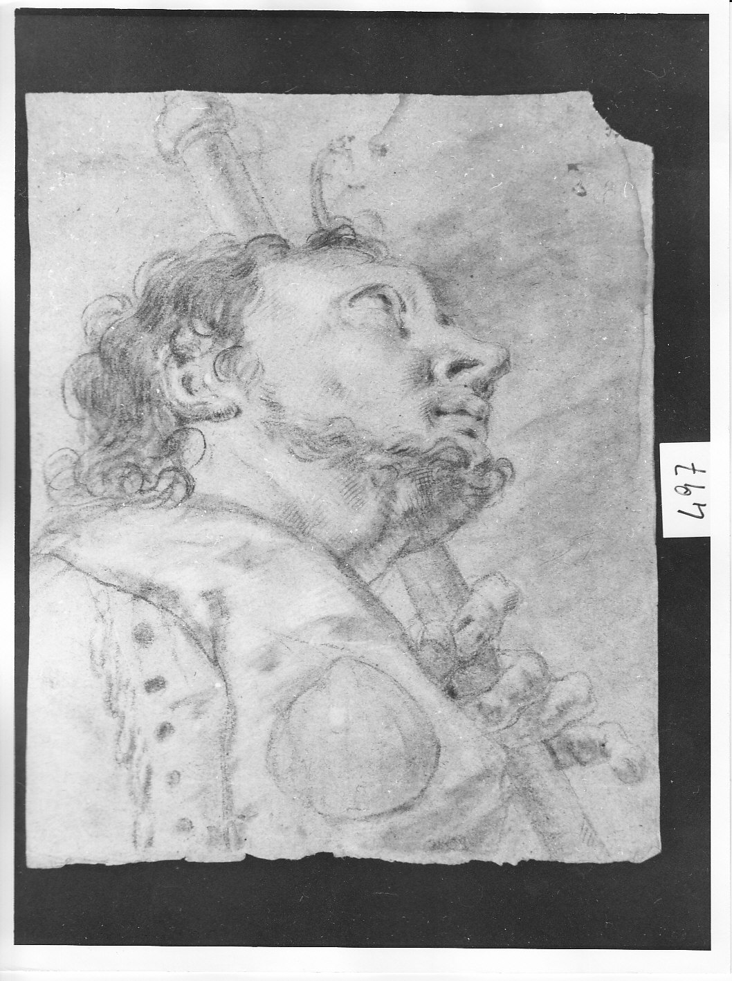 giovane barbuto a mezzo busto (disegno, opera isolata) di Ligari Cesare (attribuito) (sec. XVIII)