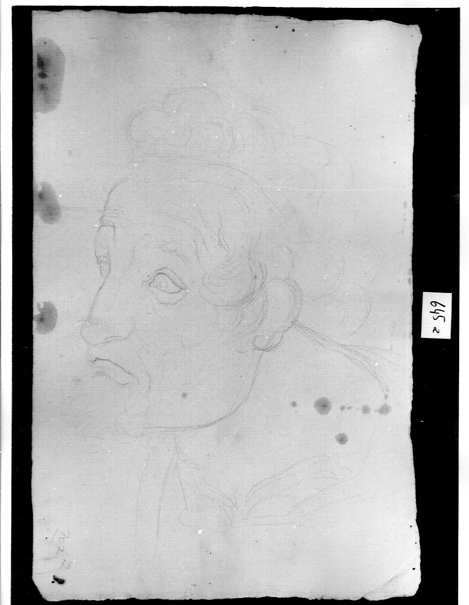 shizzo di testa di uomo barbuto (disegno, opera isolata) di Ligari Angelo (attribuito) (sec. XIX)