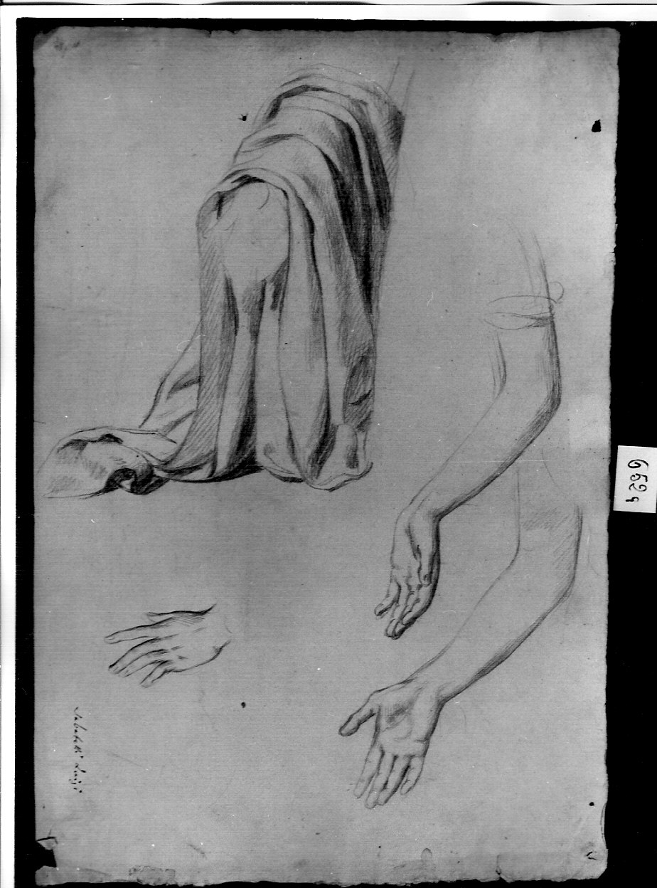 studio di panneggio e due avambracci (disegno, opera isolata) di Sabatelli Luigi (sec. XIX)