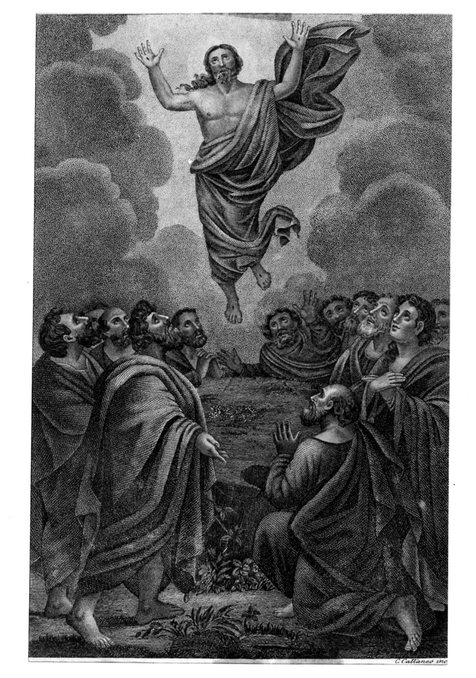 ascensione di Cristo (stampa) di Cattaneo C (sec. XIX)