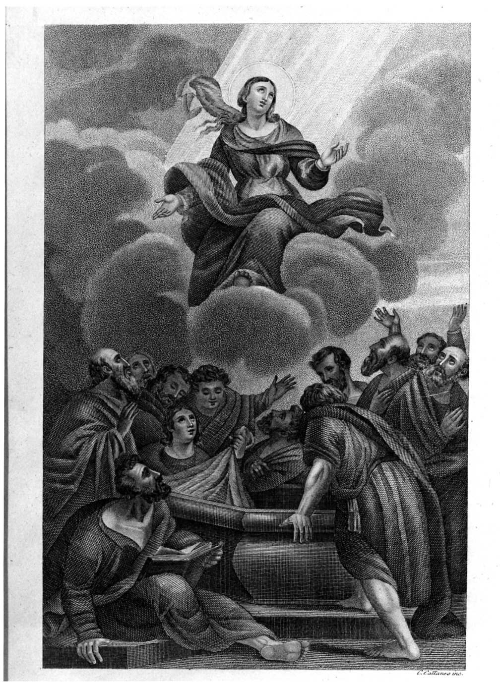 assunzione della Madonna (stampa) di Cattaneo C (sec. XIX)
