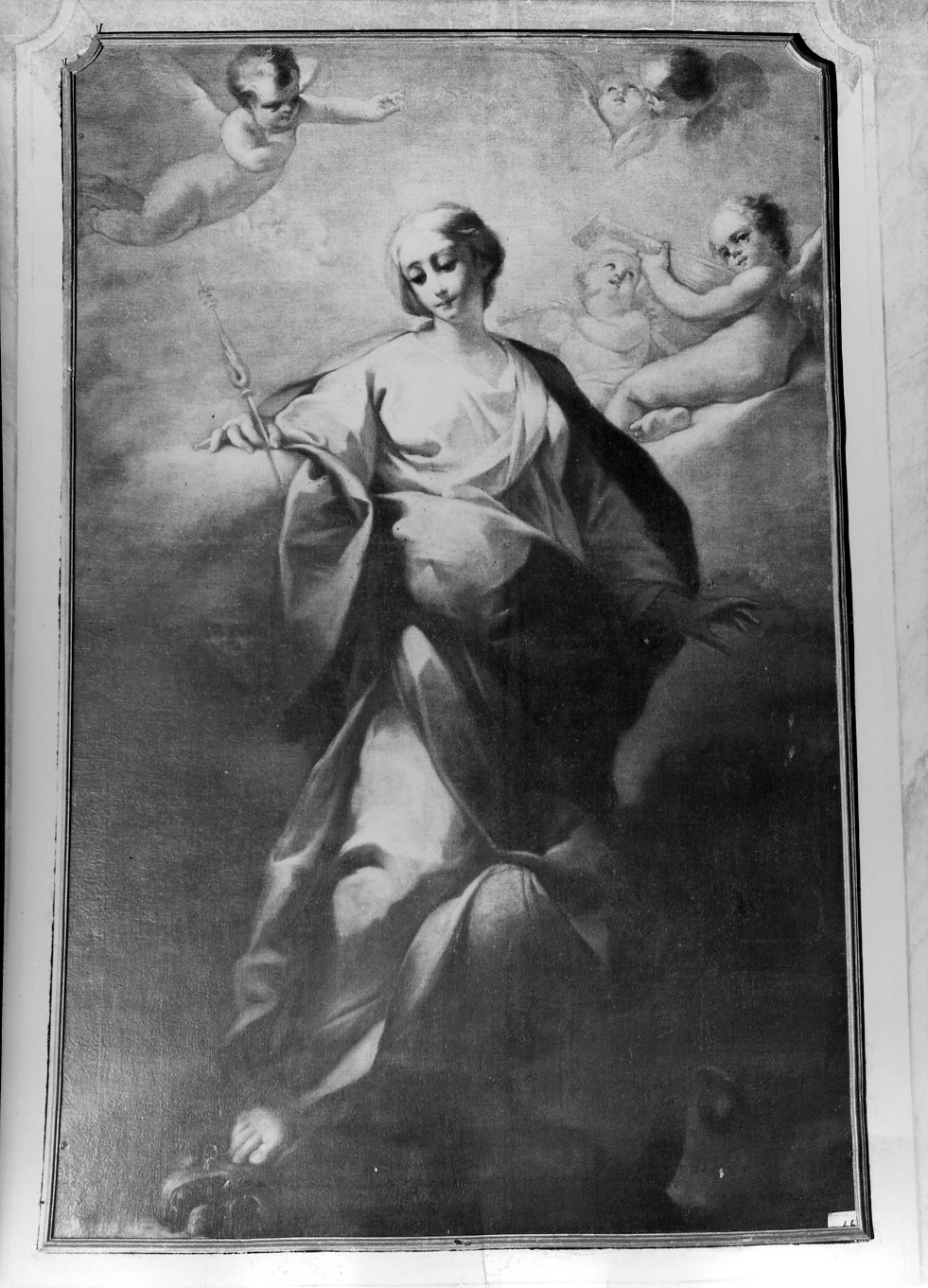Immacolata Concezione (dipinto, opera isolata) di Ronchelli Giovanni Battista (metà sec. XVIII)