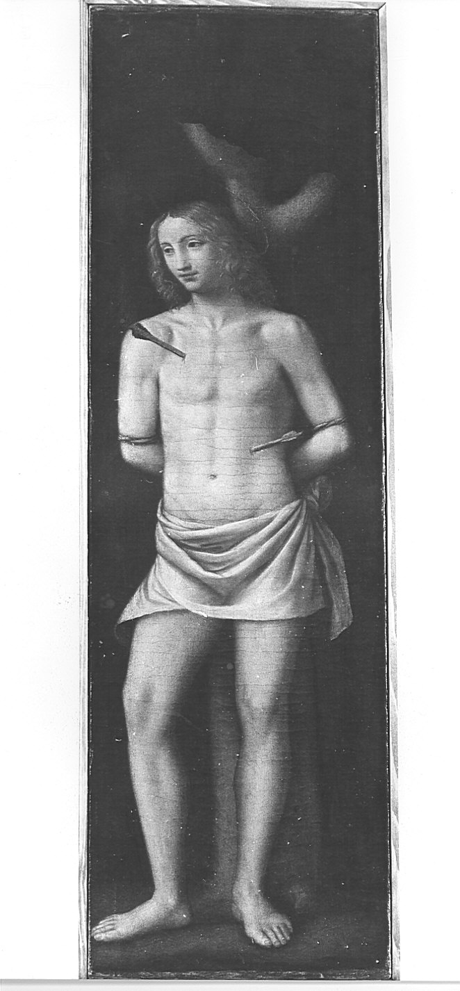 San Sebastiano (dipinto) di Luini Bernardino (attribuito) (sec. XVI)