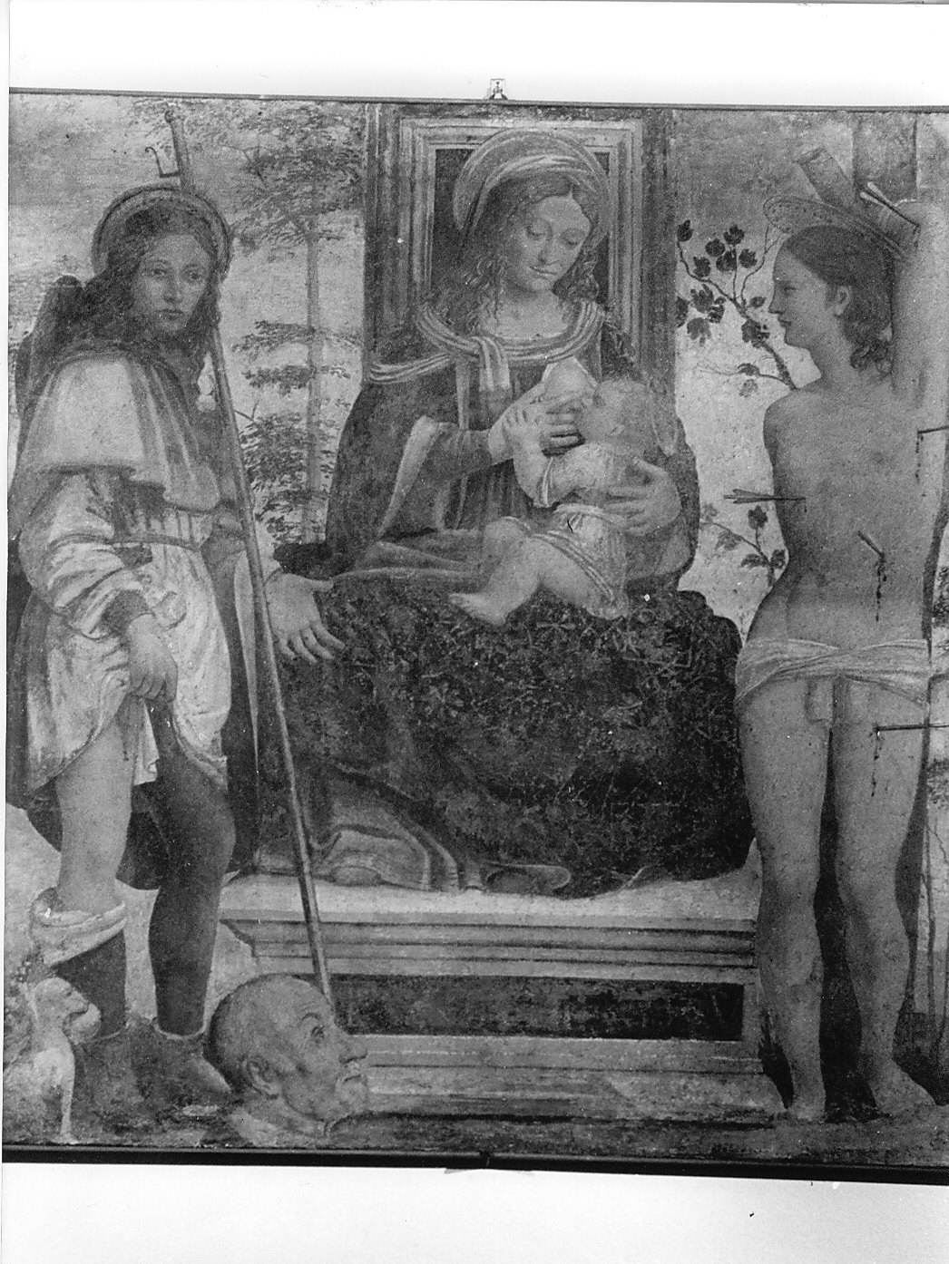 Madonna del Latte (dipinto, opera isolata) di Luini Bernardino (scuola) (prima metà sec. XVI)