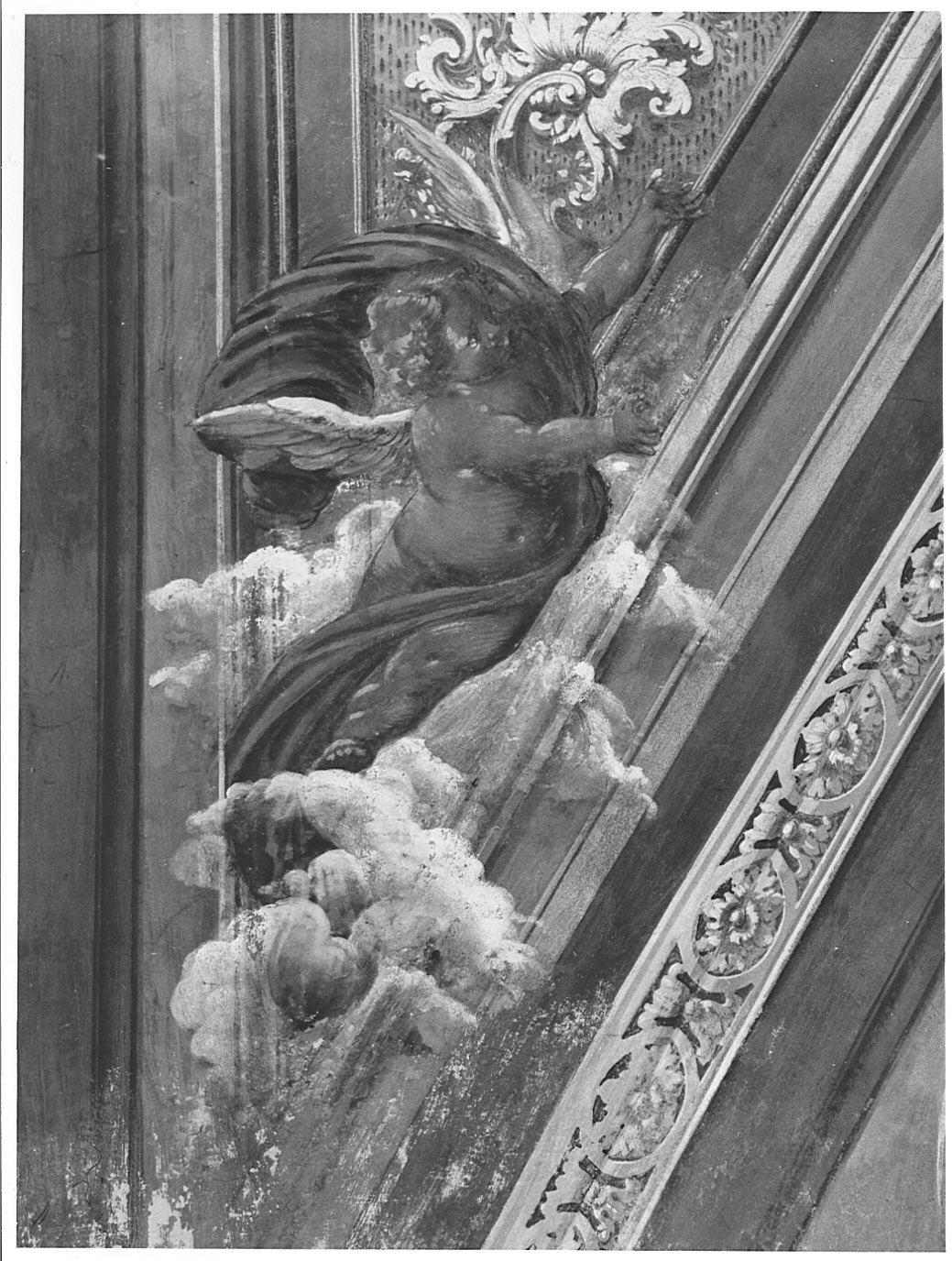 putto (dipinto murale, elemento d'insieme) di Lampugnani Giovanni Francesco (attribuito) (sec. XVII)