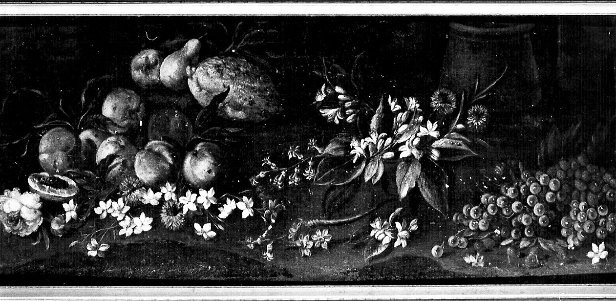 natura morta con fiori e frutti, natura morta (dipinto, opera isolata) - ambito lombardo (fine/inizio secc. XVII/ XVIII)