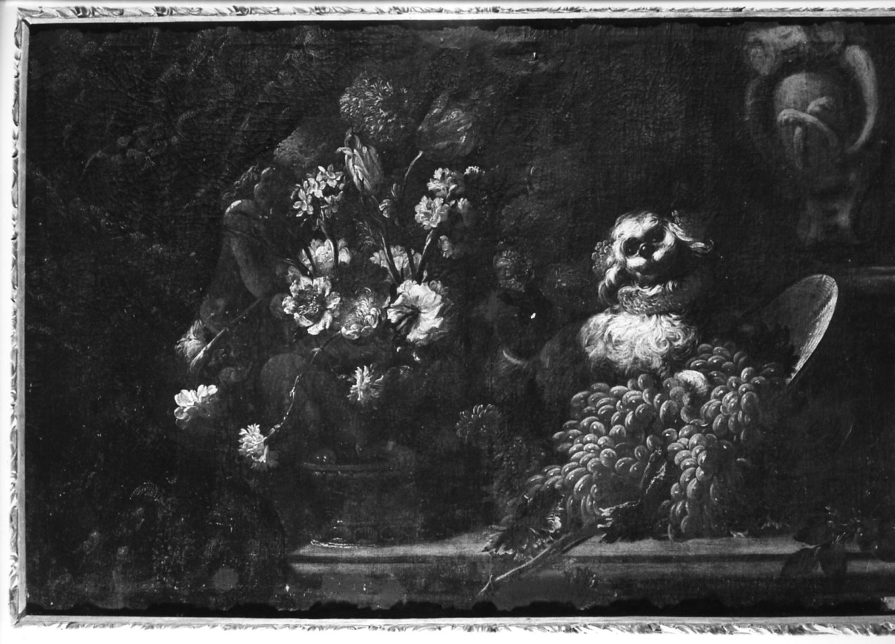 natura morta (dipinto, opera isolata) - ambito italiano (fine/inizio secc. XVII/ XVIII)