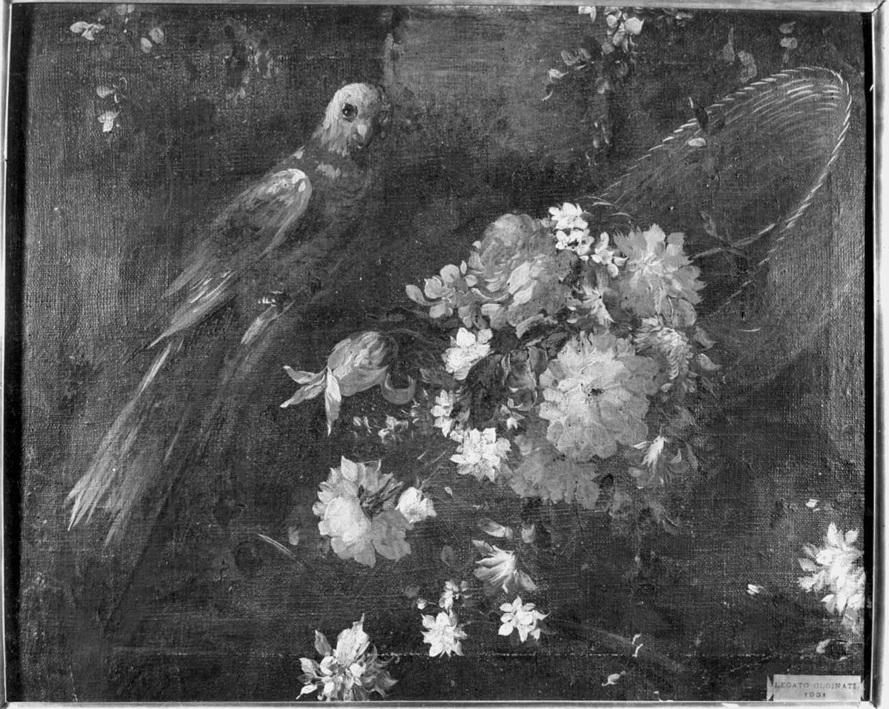 natura morta (dipinto, pendant) - ambito italiano (secc. XVII/ XVIII)