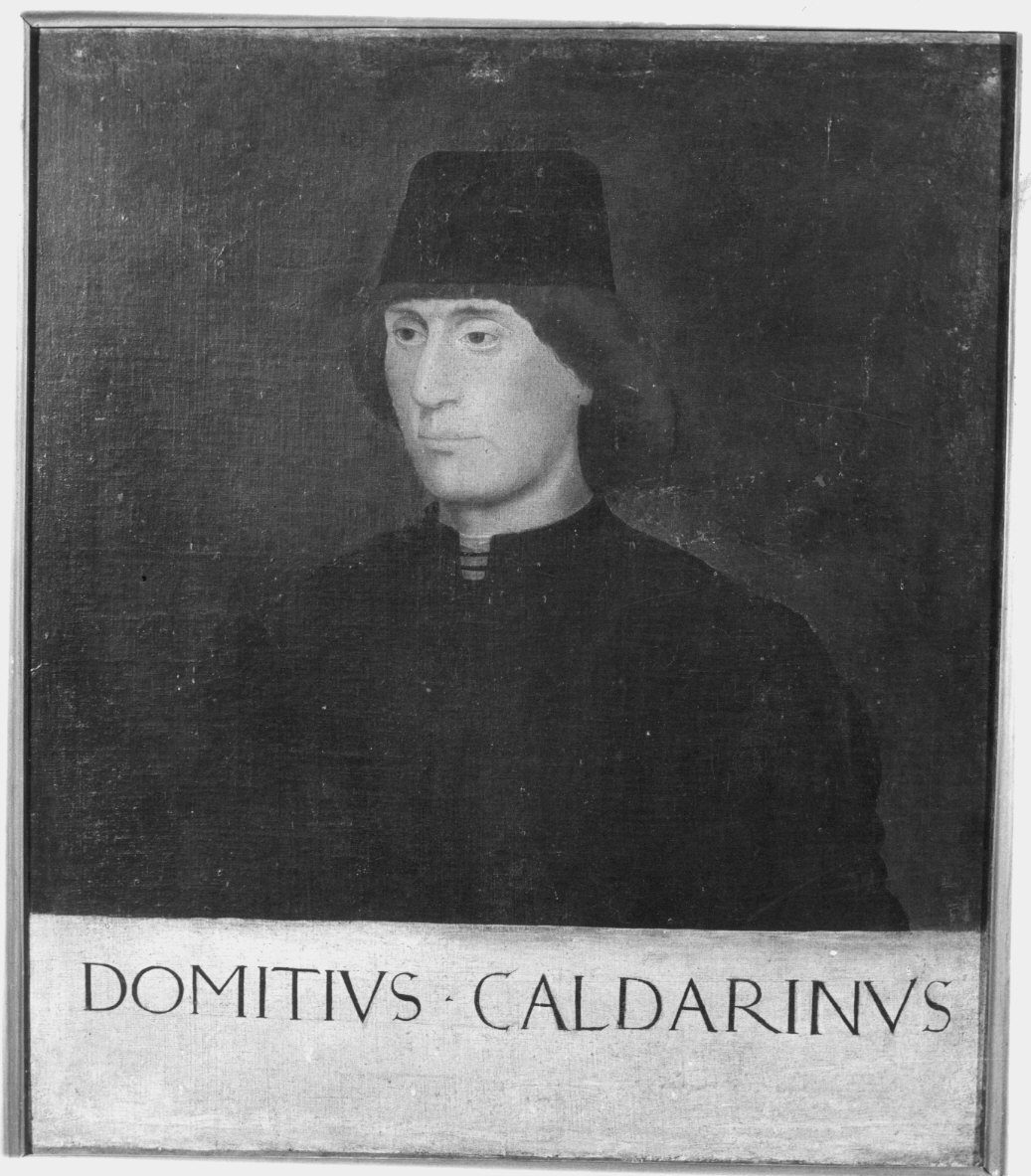 ritratto di Domizio Caldarino (dipinto) - ambito veneto (prima metà sec. XVI)