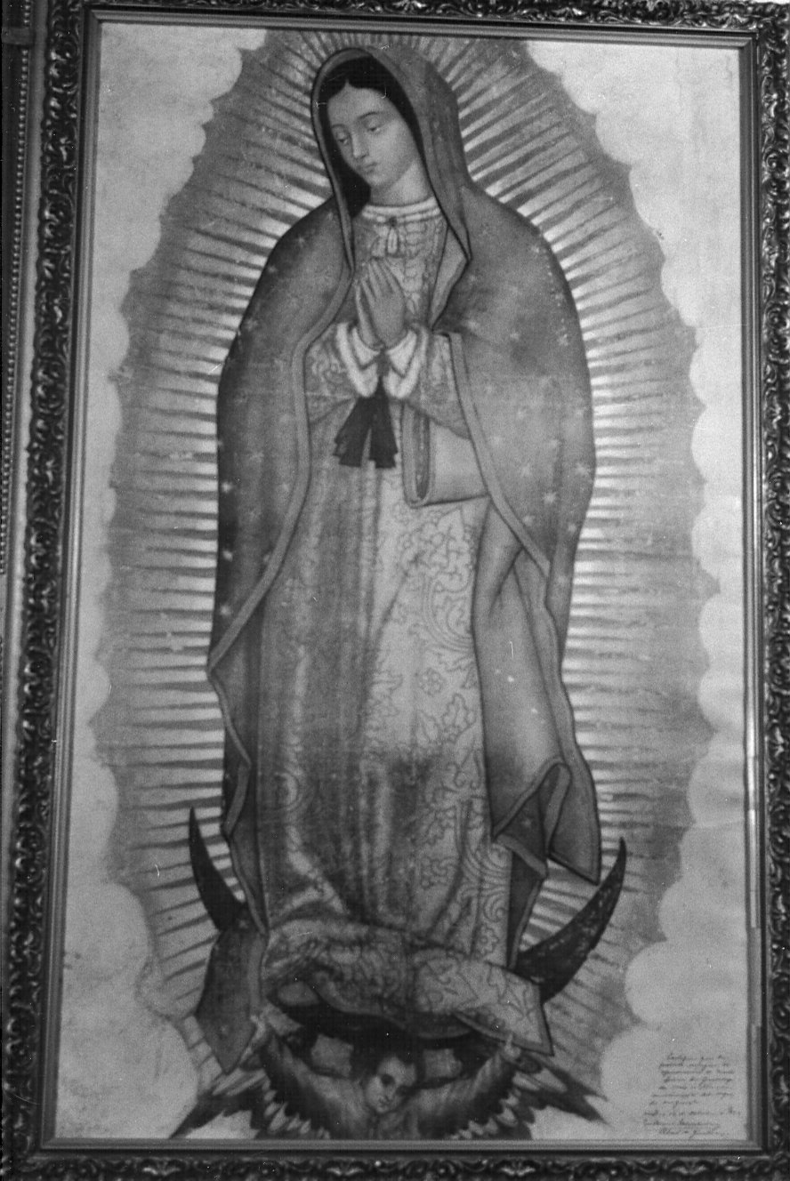 Madonna di Guadalupe (stampa) - ambito messicano (sec. XX)