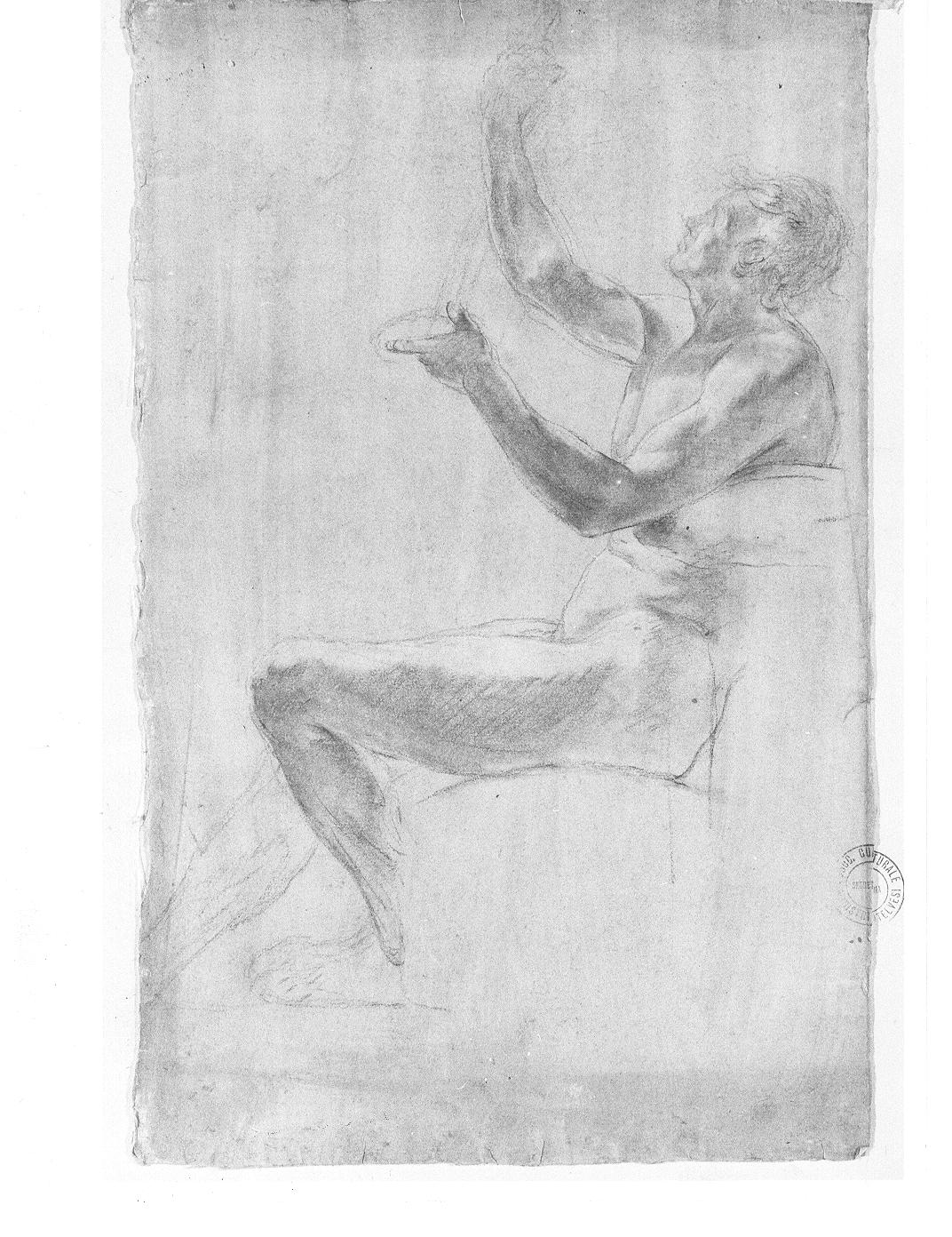 Studio anatomico (disegno, opera isolata) - ambito italiano (secc. XVIII/ XIX)