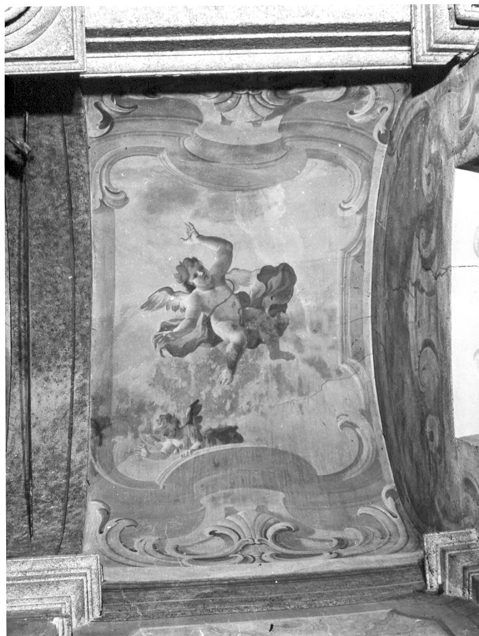 angioletti (dipinto murale, elemento d'insieme) di Bianchi Pietro detto Bustino (sec. XVIII)