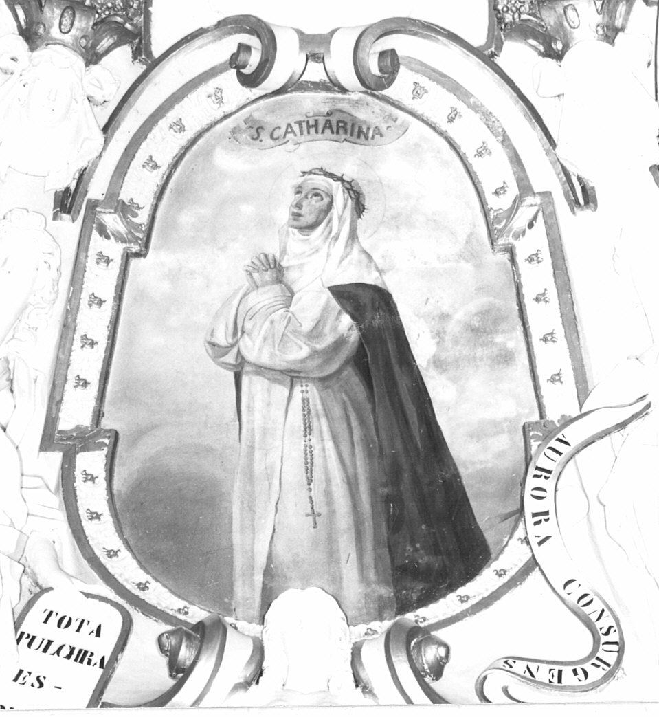 S. Caterina, Santa Caterina (decorazione pittorica, elemento d'insieme) di Mosello C (attribuito) (sec. XIX)