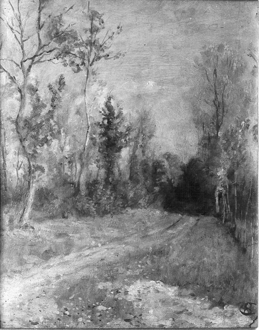 Boschi del Ticino, paesaggio con alberi (dipinto) di Ottone Casimiro (attribuito) (primo quarto sec. XX)