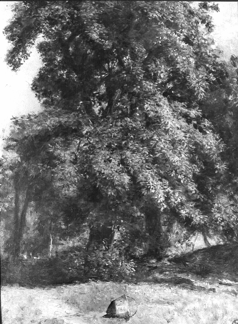 Castagno, paesaggio con alberi (dipinto) di Ottone Casimiro (attribuito) (primo quarto sec. XX)