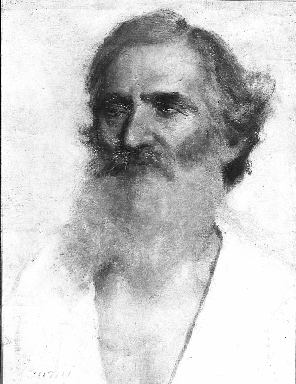Vecchio con barba, busto ritratto d'uomo (dipinto) di Barni Luigi (attribuito) (inizio sec. XX)