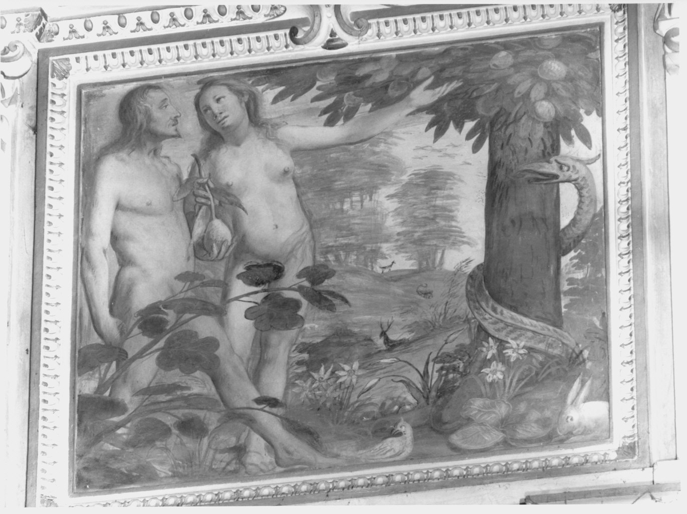 dipinto murale, ciclo di Pozzo Carlo (attribuito) (sec. XVII)
