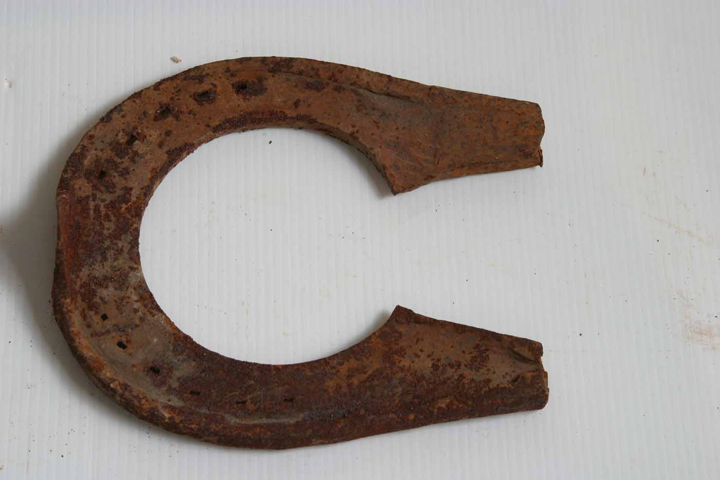 ferro da cavallo - produzione marchigiana (secc. XIX/ XX)