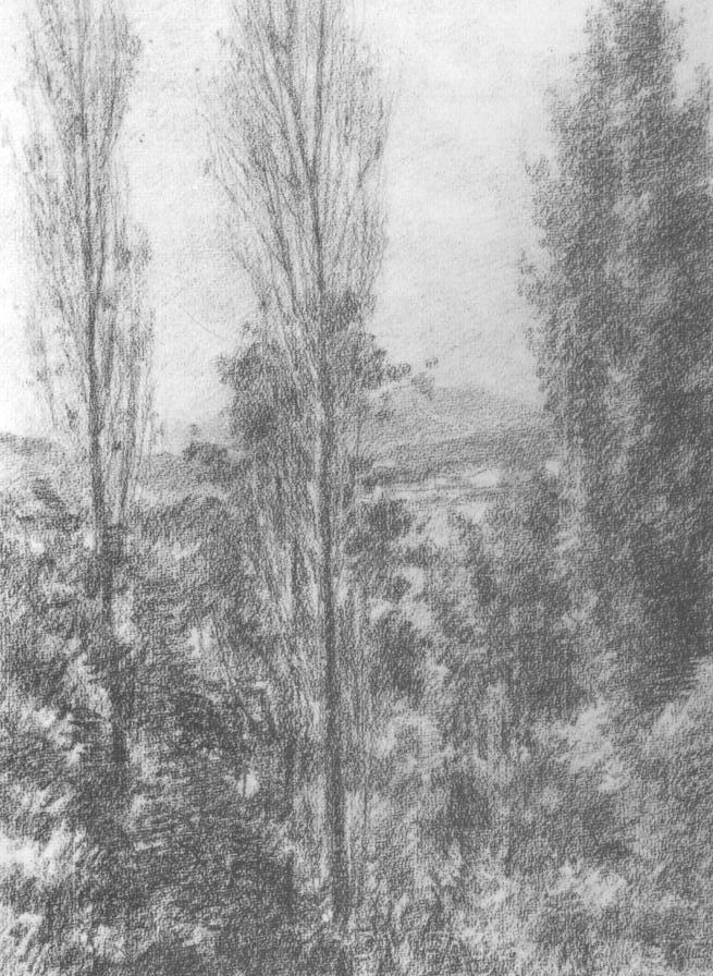 paesaggio con alberi (disegno) di Santi Archimede (sec. XX)