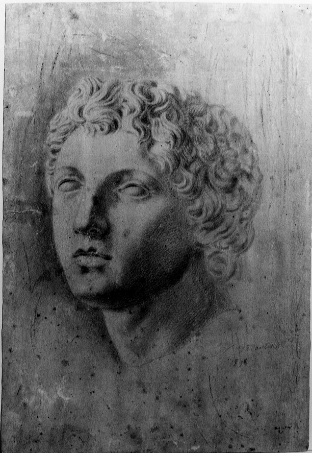 testa di giovane (disegno) di Mastini V (sec. XVIII)