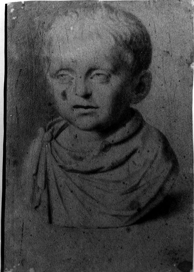 busto di fanciullo (disegno) di Mastini V (sec. XVIII)