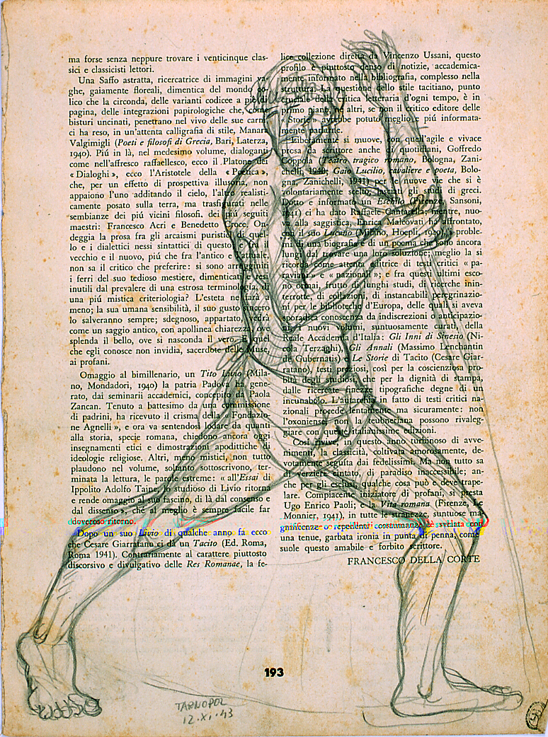 Figura maschile, studio per figura maschile (disegno) di Ercolani Ernesto (sec. XX)