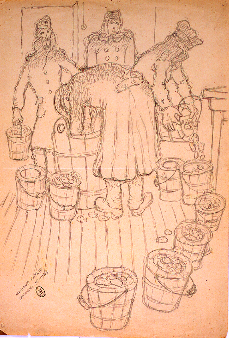Divisione patate, divisione patate (disegno) di Ercolani Ernesto (sec. XX)