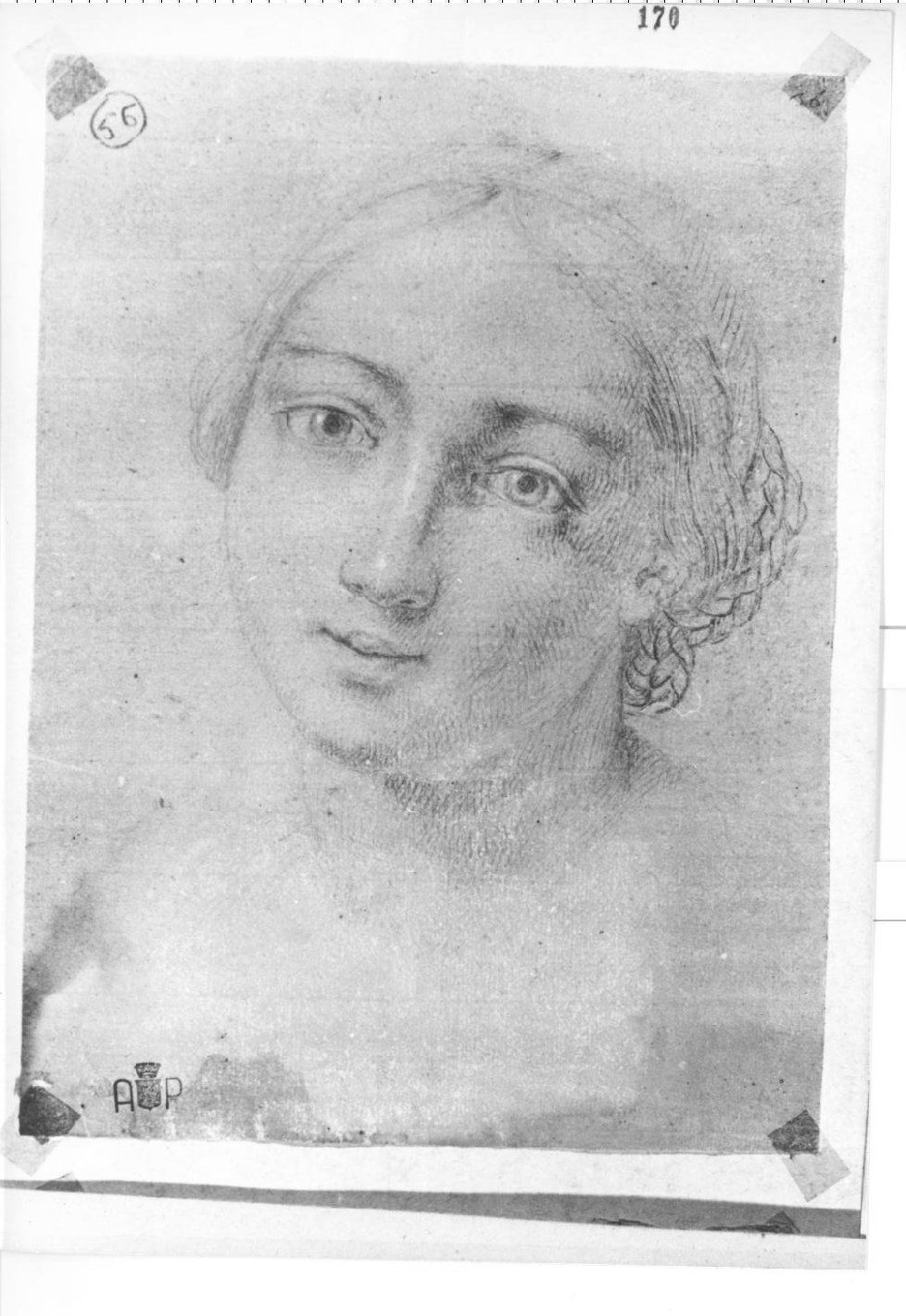testa femminile (disegno) di Monti Nicola Antonio (sec. XVIII)