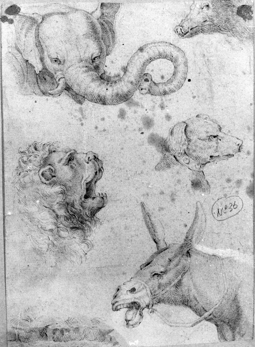 studi per animali (disegno) - ambito bolognese (sec. XVII)
