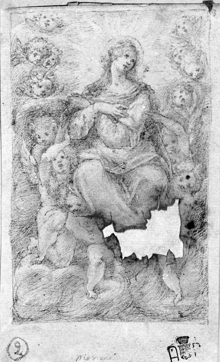 Assunzione della Madonna (disegno) di Mariani Giovanni Maria (seconda metà sec. XVII)
